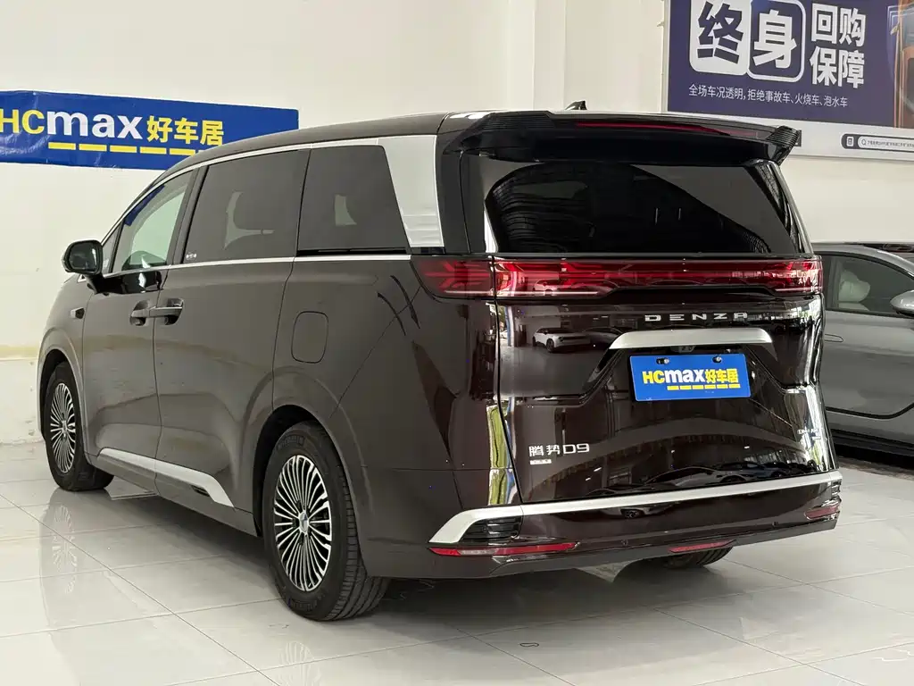 Denza Denza D9 — миниатюра 6