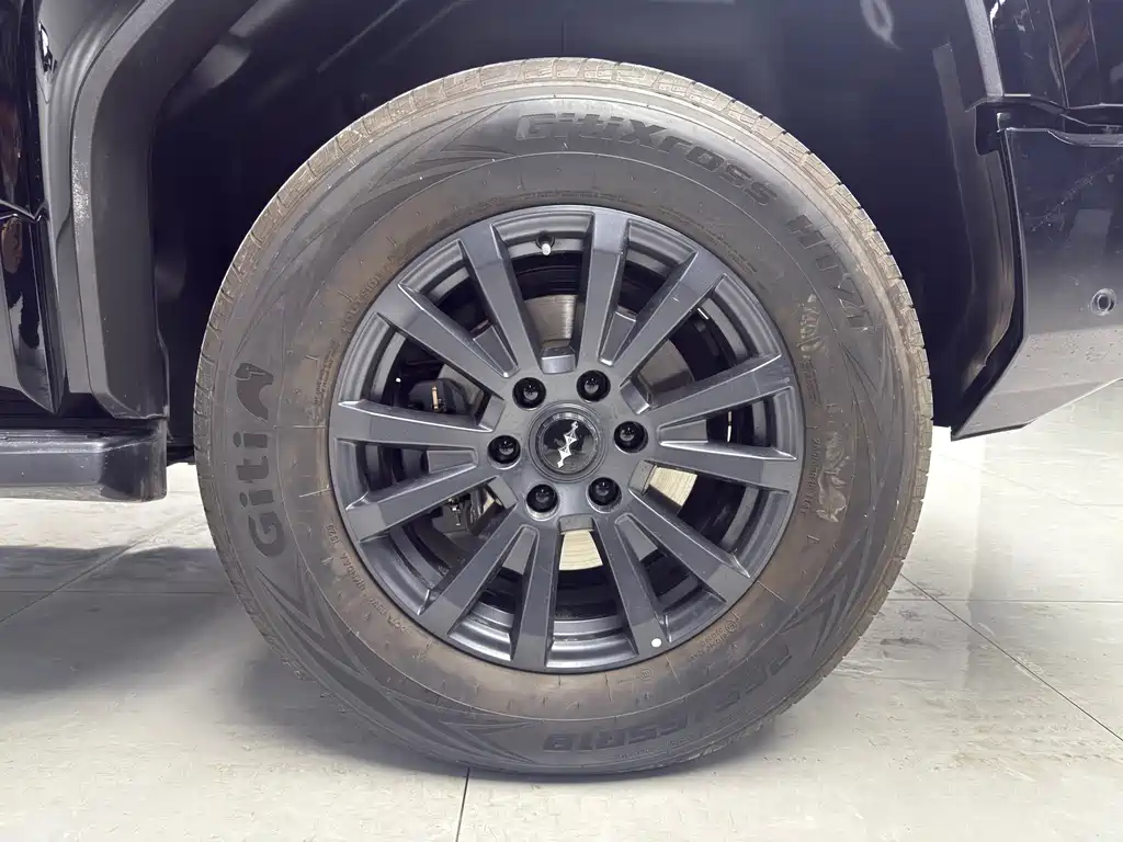 FANG CHENG BAO LEOPARD 5