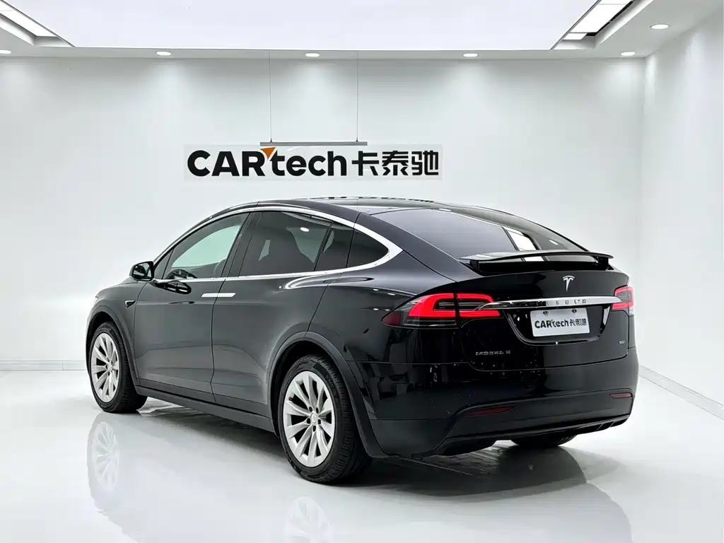 Tesla Model X — миниатюра 8
