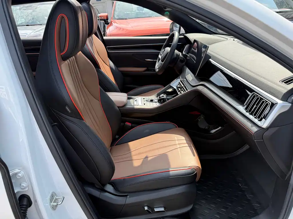 BYD PLUS — миниатюра 13
