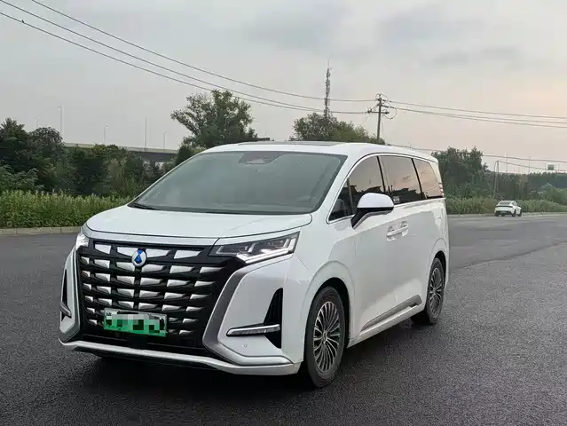 2023 Denza D9
