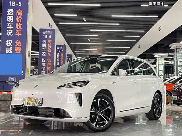 2025 Singulato