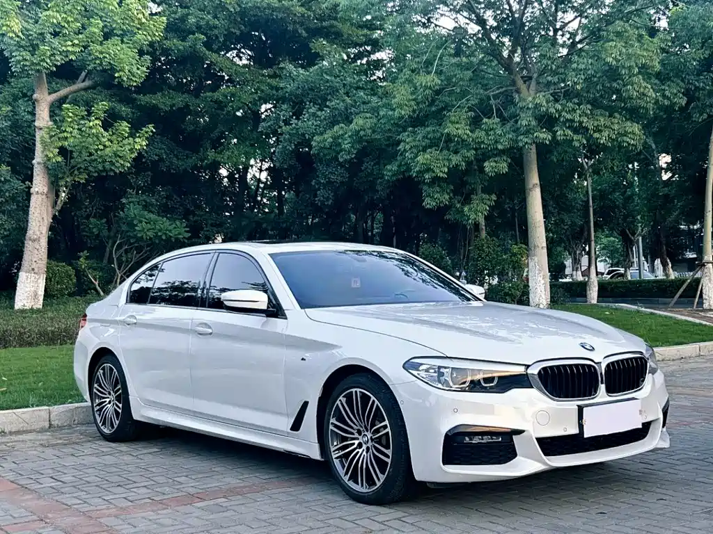 BMW 5 Series 5 2019 530Li xDrive M Sport