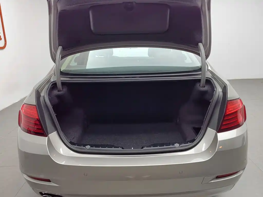 BMW 5 Series (Import) — миниатюра 16