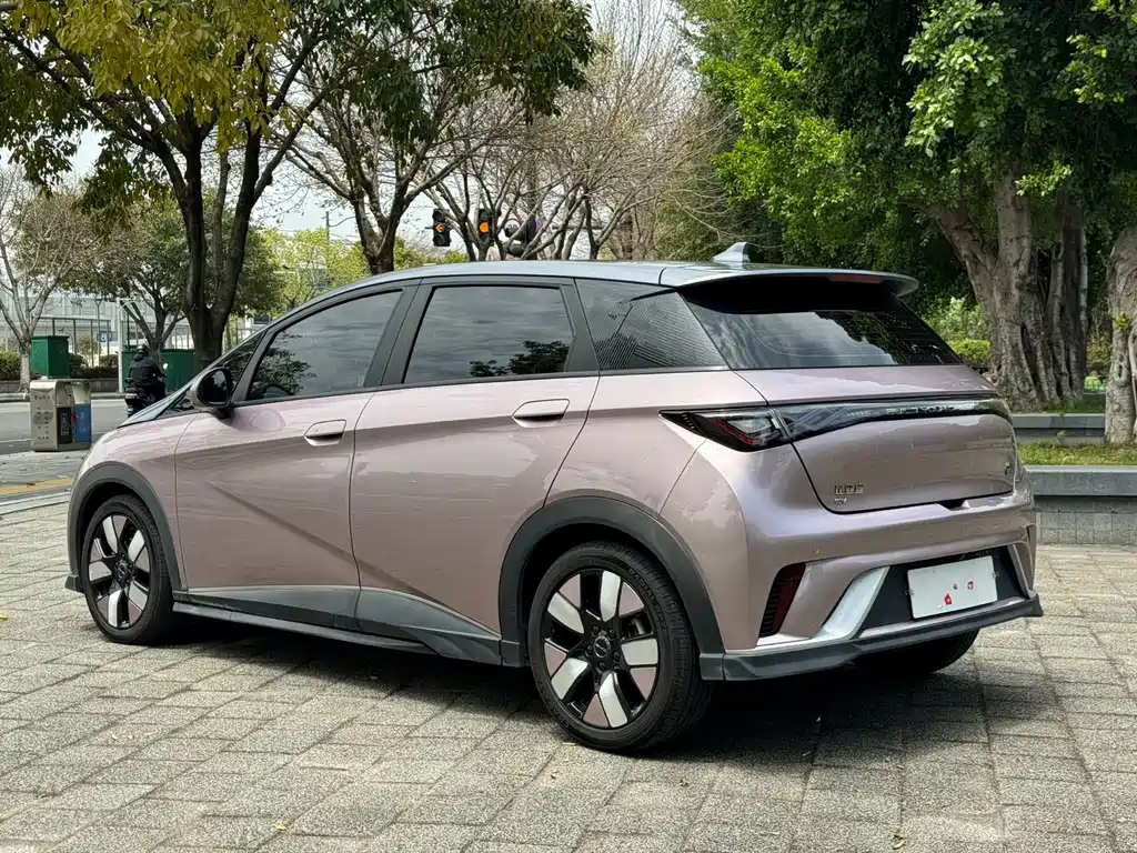 BYD Dolphin — миниатюра 6