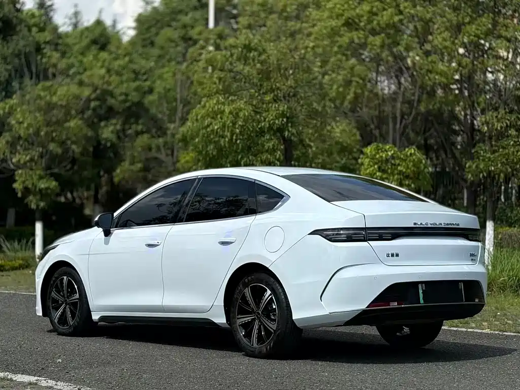 BYD Destroyer 05 2023 Champion DM-i 55KM Luxury