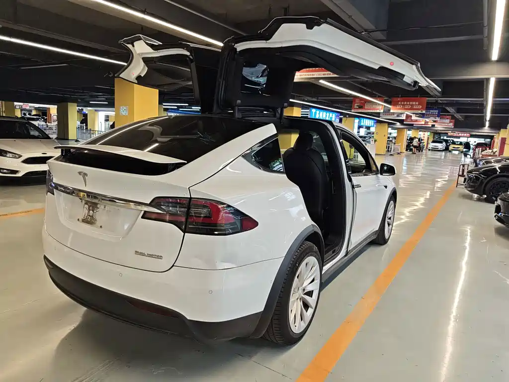 Tesla Model X — миниатюра 4