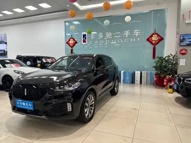 wei-pai wei-brand-vv6