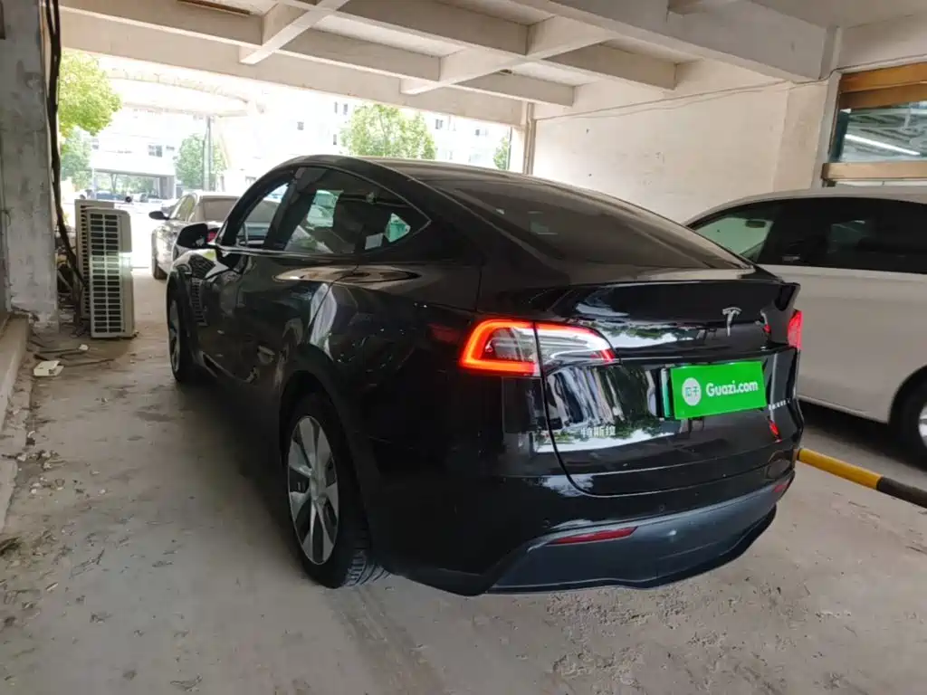 Tesla Model Y — миниатюра 5