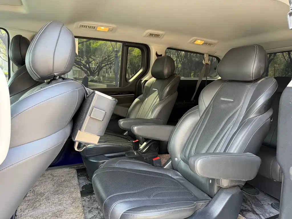 SAIC MAXUS CHASE G20