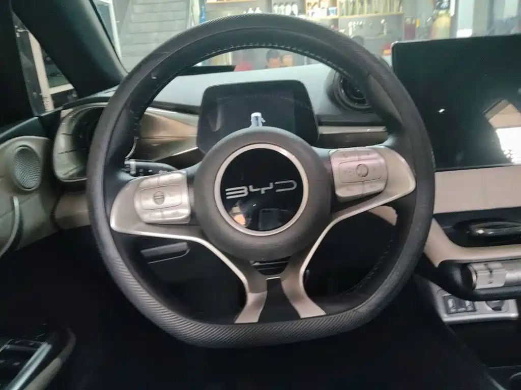 BYD Dolphin — миниатюра 3