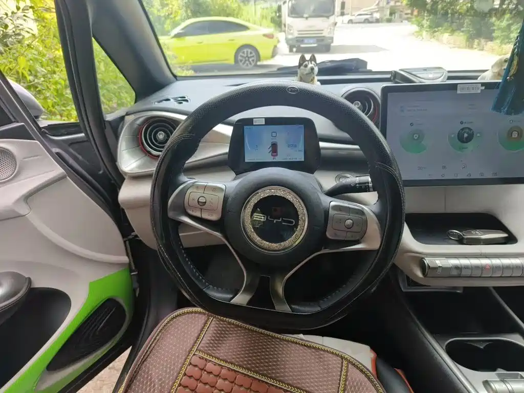 BYD Dolphin — миниатюра 3