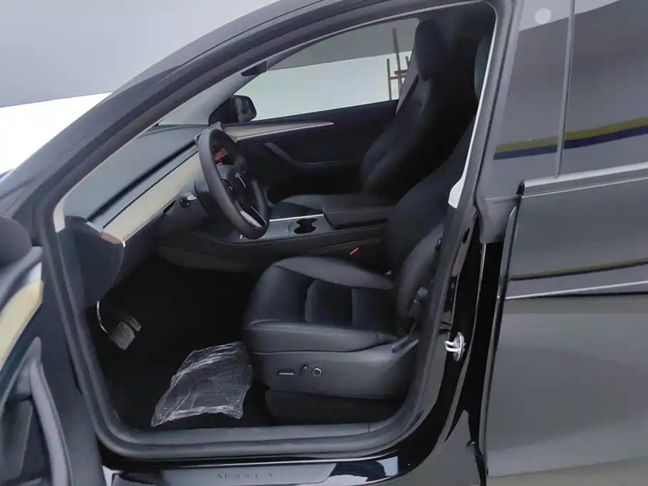 Tesla Model Y — миниатюра 9