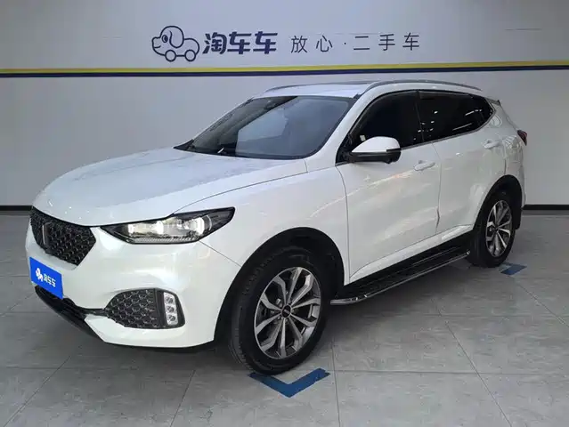 2019 Wey VV6