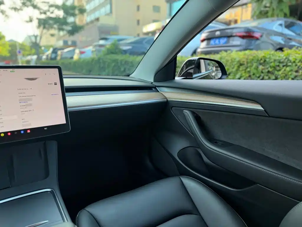 Tesla Model 3 — миниатюра 9