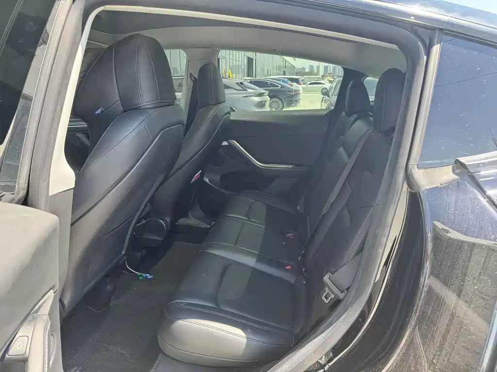 Tesla Model Y — миниатюра 7