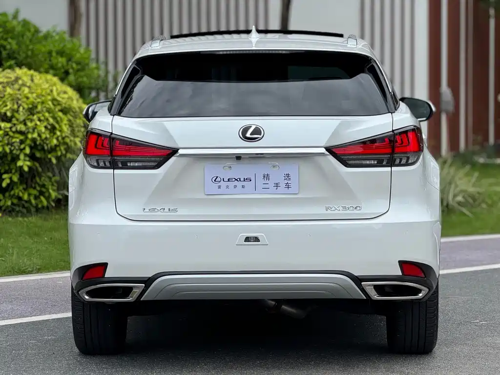Lexus RX — миниатюра 16