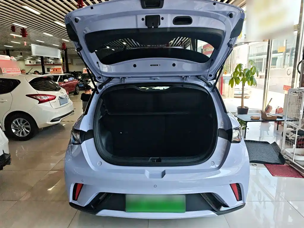 BYD Dolphin — миниатюра 13