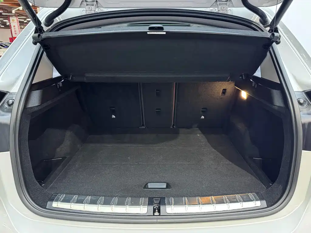 BMW X1 2020 xDrive25Li Premium