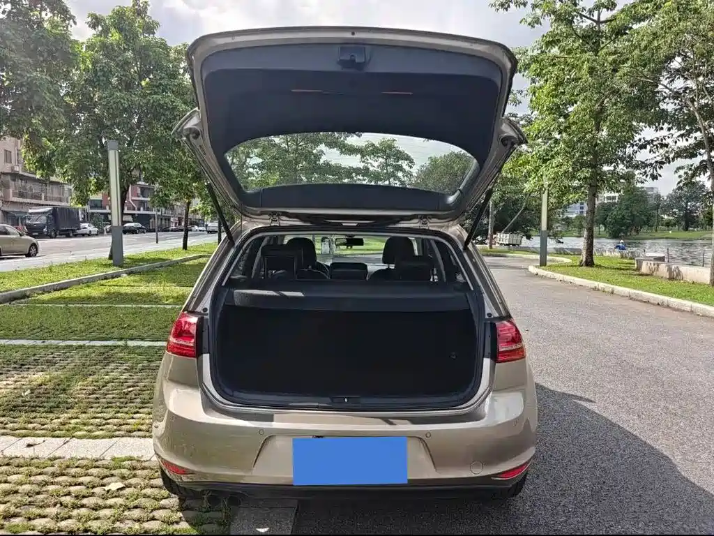 Volkswagen Golf 2015 1.6L MT Fashion