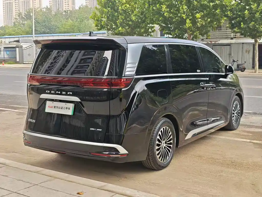 Denza Denza D9 — миниатюра 9