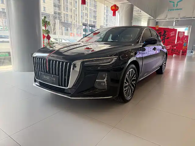 Hongqi HONGQI H5 2024