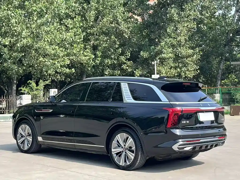 Hongqi Hongqi E-HS9 — миниатюра 9