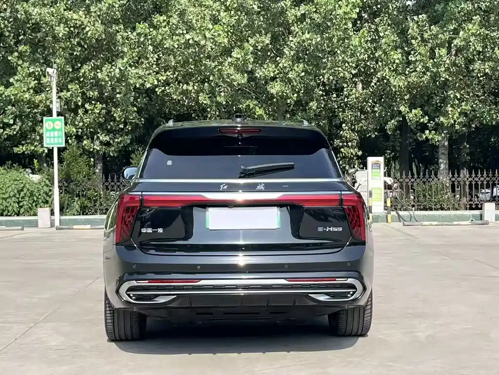 Hongqi Hongqi E-HS9 — миниатюра 8