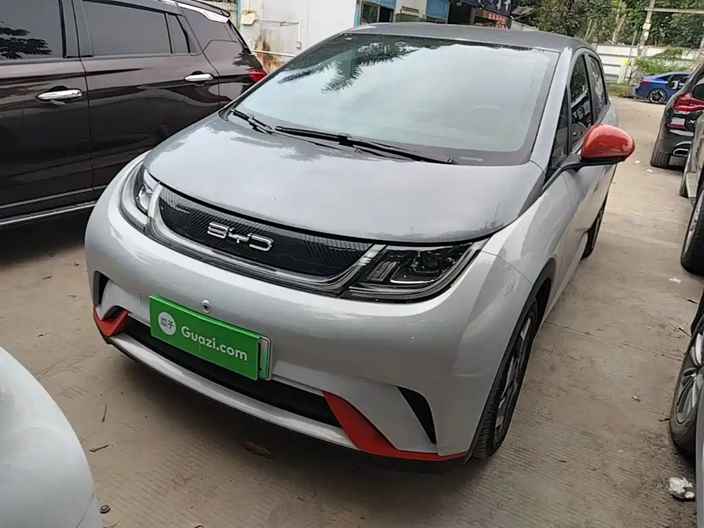 BYD Dolphin 2021 405km Freedom