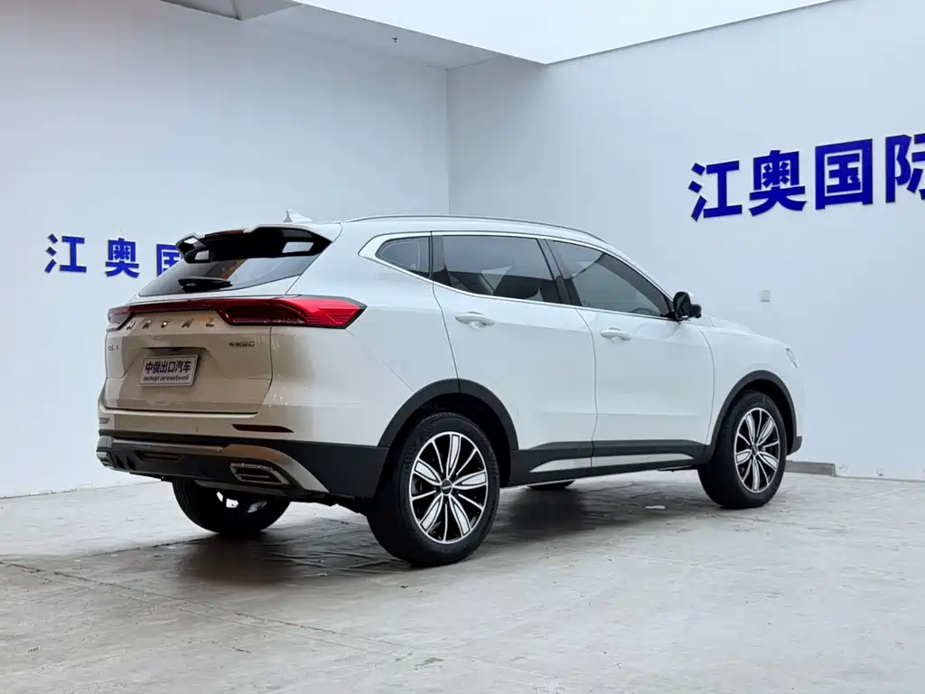 Haval H6 — миниатюра 18