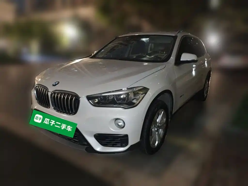 BMW X1 — миниатюра 2