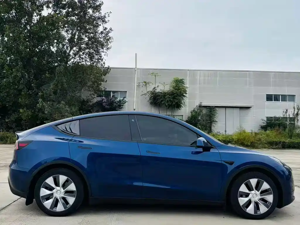 Tesla Model Y — миниатюра 4