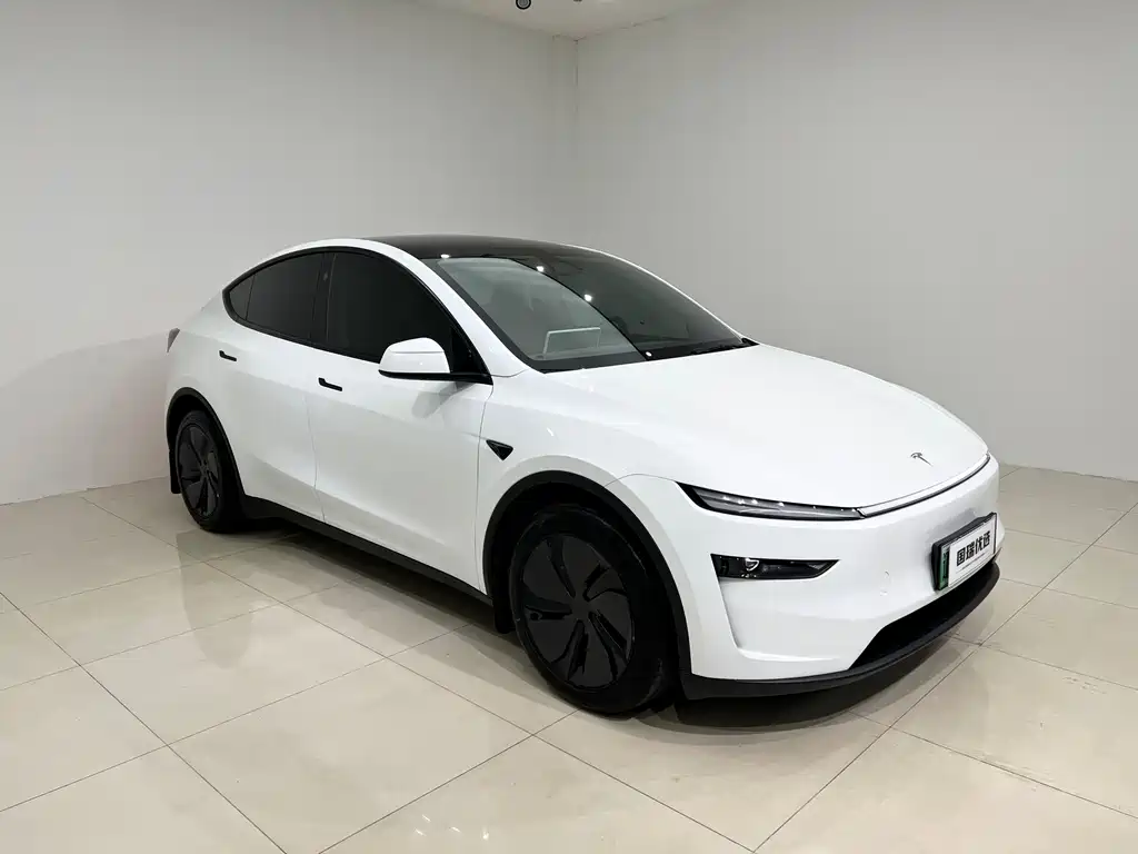 Tesla Model Y — миниатюра 3