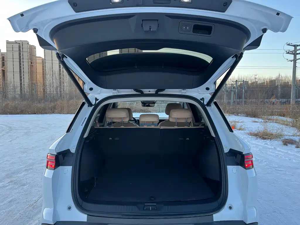 BYD SONGJIANG NEW ENERGY