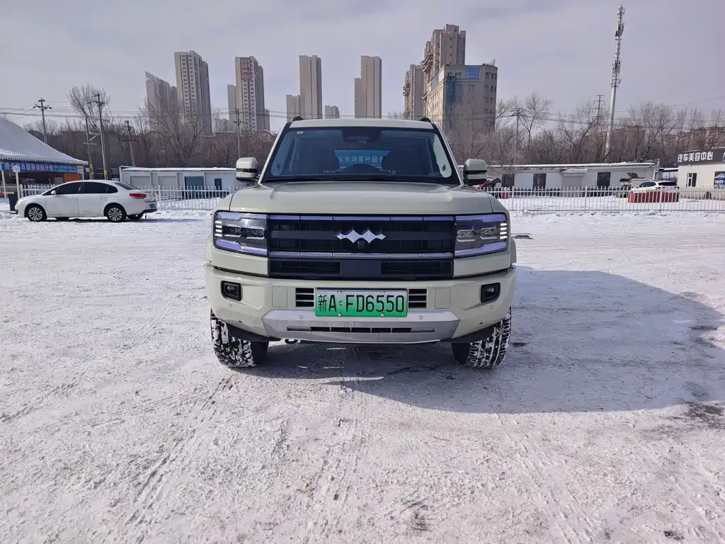 FANG CHENG BAO LEOPARD 5