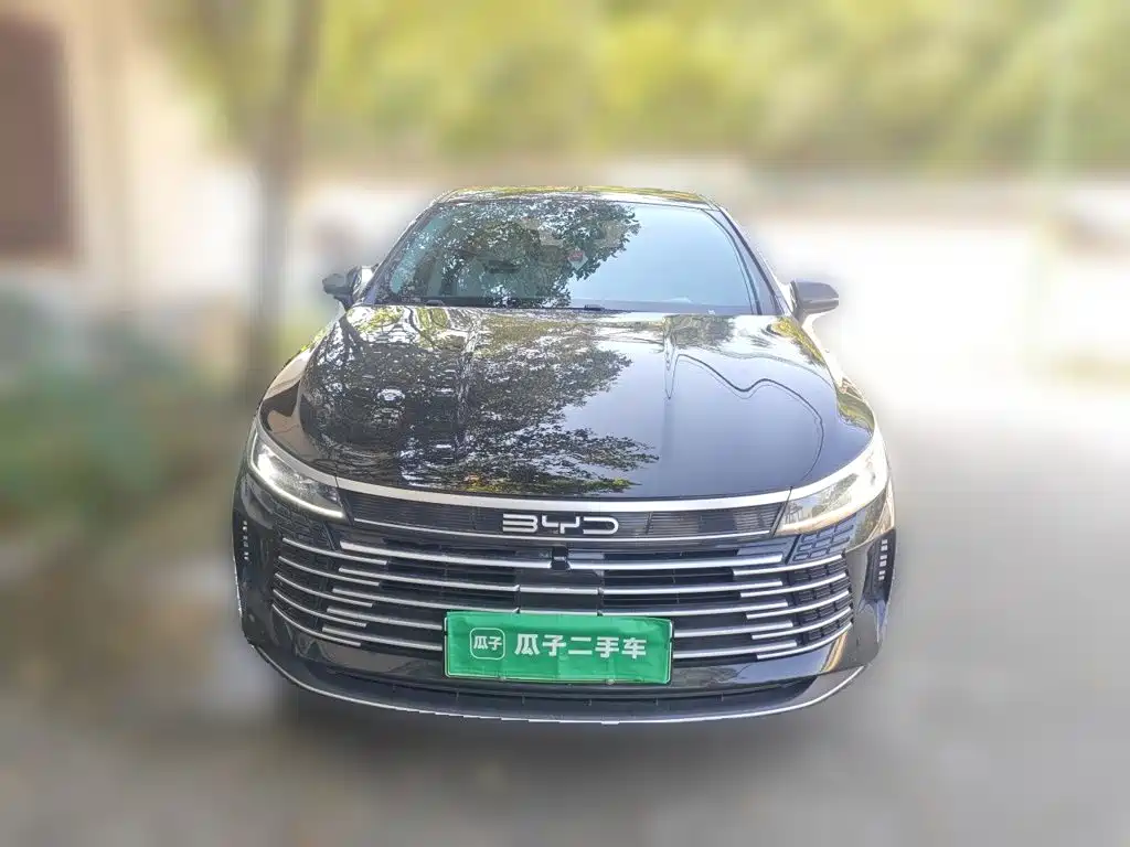 BYD Destroyer 05 — миниатюра 2