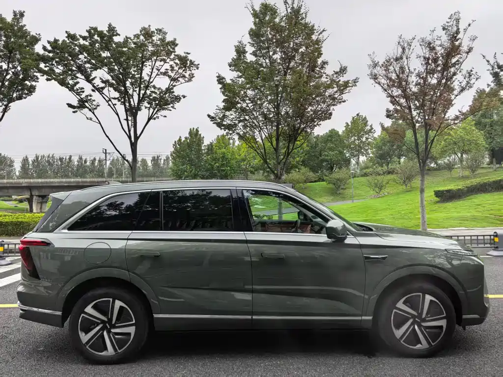 WEI PAI WEI BRAND BLUE MOUNTAIN