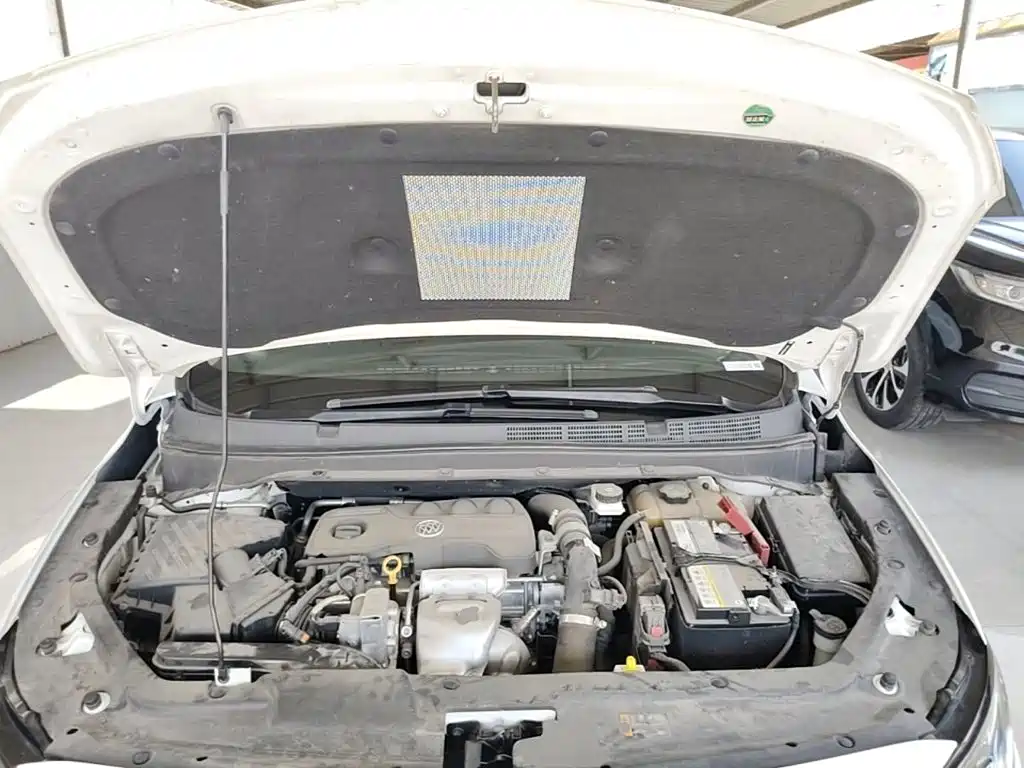 Buick GL6 — миниатюра 20