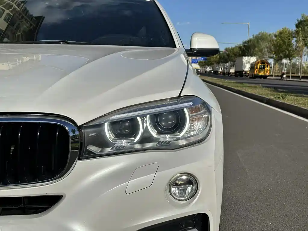BMW X6 — миниатюра 12