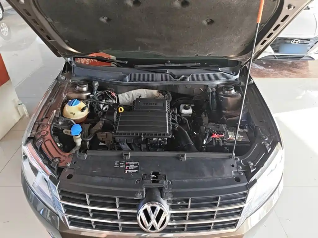 Volkswagen Gran Lavida — миниатюра 20