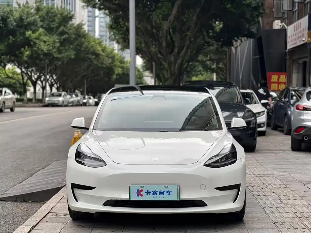 Tesla Model 3 2021