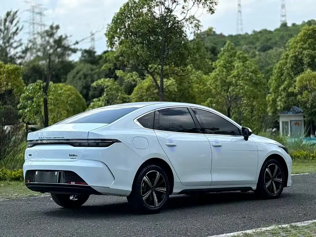 BYD Destroyer 05 2023 Champion DM-i 55KM Luxury
