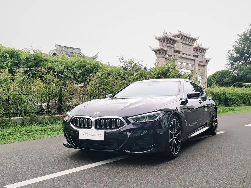 BMW 8 Series — миниатюра 7