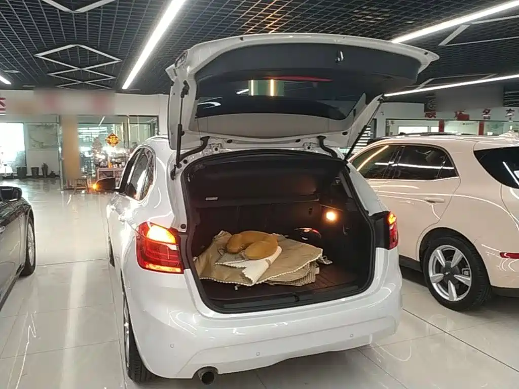 BMW 2 Series Active Tourer — миниатюра 19