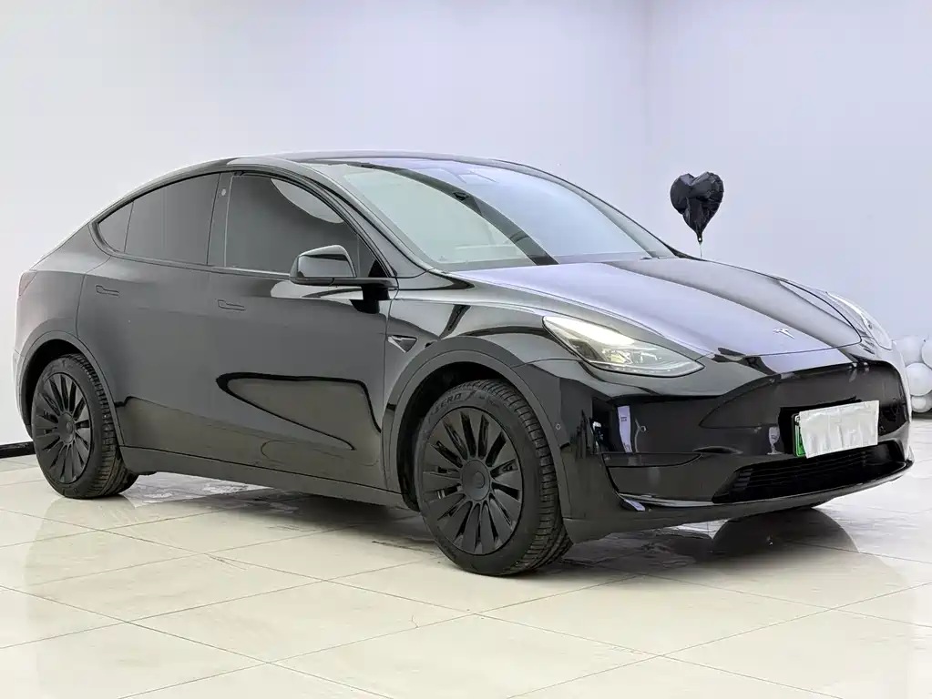 Tesla Model Y — миниатюра 2