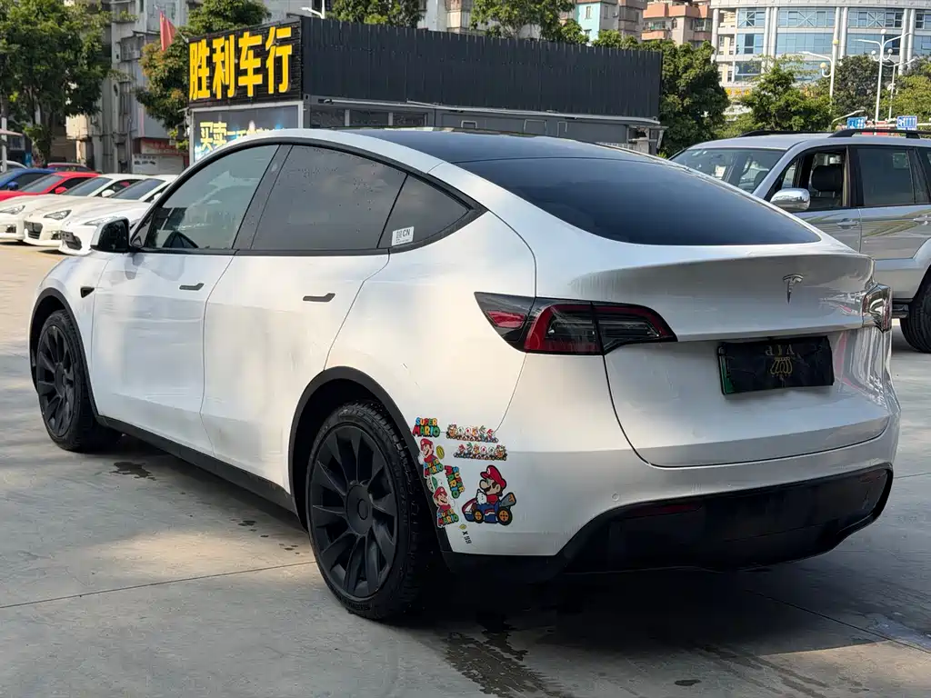 Tesla Model Y — миниатюра 4