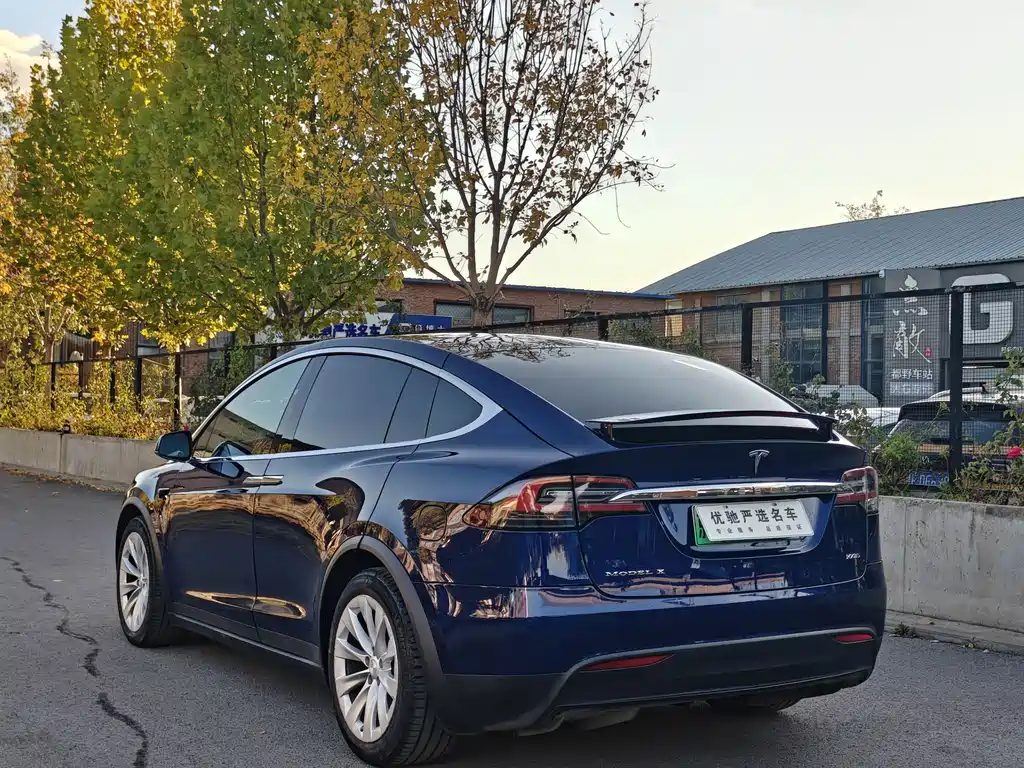 Tesla Model X — миниатюра 9
