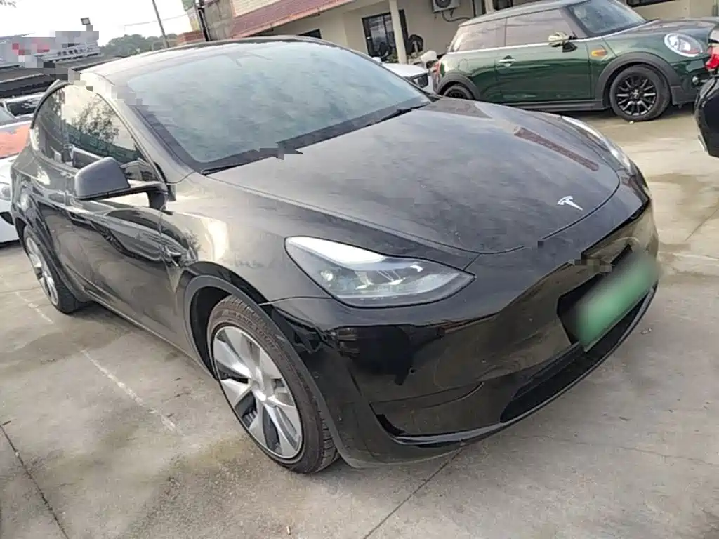 Tesla Model Y — миниатюра 4
