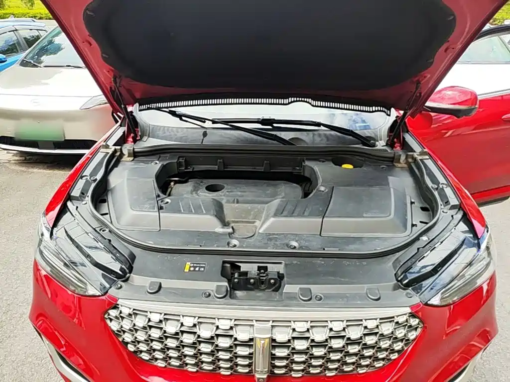 Wey Wey VV6 — миниатюра 20