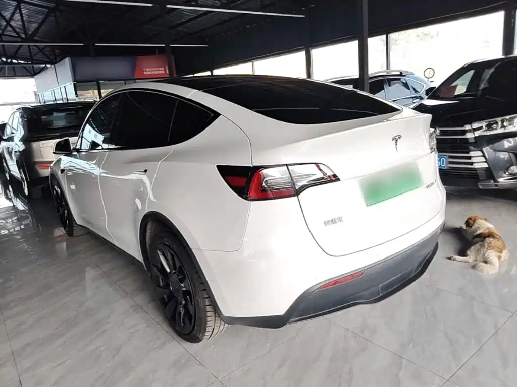 Tesla Model Y — миниатюра 5